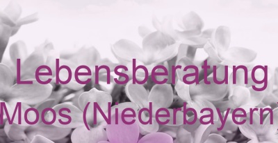 Lebensberatung Moos (Niederbayern) | Top-Experten für Kartenlegen, Wahrsagen, Hellsehen, Zukunftsdeutung.